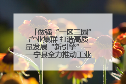 做强“一区三园”产业集群 打造高质量发展“新引擎”——宁县全力推动工业经济提质增效