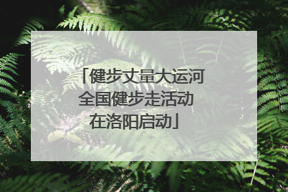 健步丈量大运河 全国健步走活动在洛阳启动