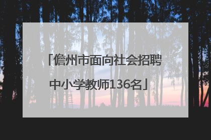 儋州市面向社会招聘中小学教师136名
