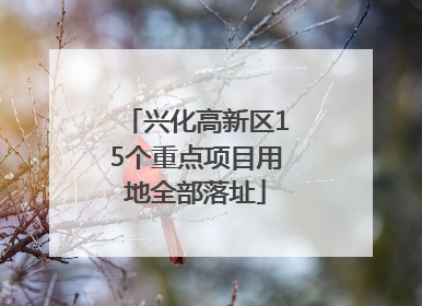 兴化高新区15个重点项目用地全部落址