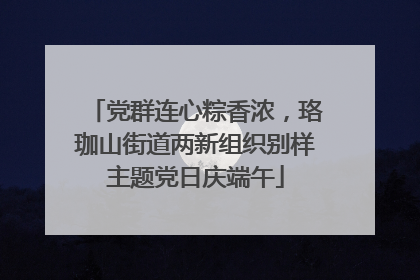 党群连心粽香浓，珞珈山街道两新组织别样主题党日庆端午
