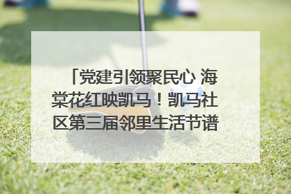 党建引领聚民心 海棠花红映凯马！凯马社区第三届邻里生活节谱写幸福新篇章