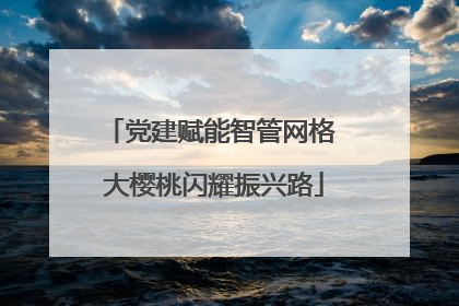 党建赋能智管网格 大樱桃闪耀振兴路