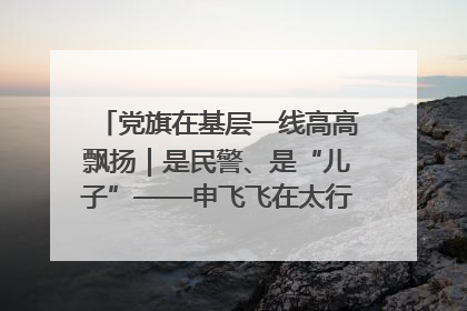 党旗在基层一线高高飘扬｜是民警、是“儿子”——申飞飞在太行山中的一线坚守