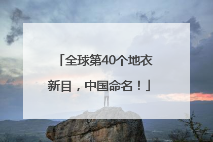 全球第40个地衣新目，中国命名！