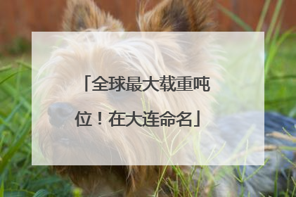 全球最大载重吨位！在大连命名