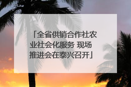 全省供销合作社农业社会化服务 现场推进会在泰兴召开