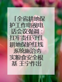 全省耕地保护工作电视电话会议强调：扛牢责任守住耕地保护红线 系统施治夯实粮食安全根基 王宁作出批示 王予波出席并讲话