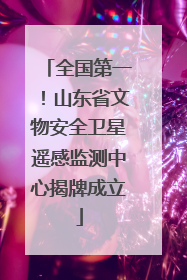 全国第一！山东省文物安全卫星遥感监测中心揭牌成立
