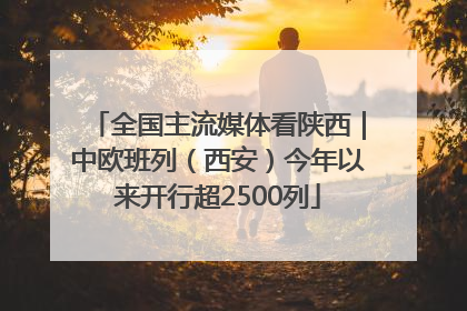 全国主流媒体看陕西｜中欧班列（西安）今年以来开行超2500列