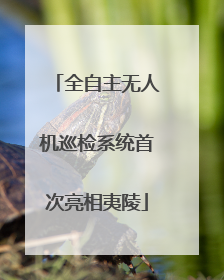 全自主无人机巡检系统首次亮相夷陵