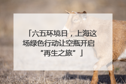 六五环境日，上海这场绿色行动让空瓶开启 “再生之旅”