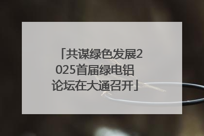 共谋绿色发展2025首届绿电铝论坛在大通召开