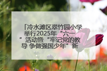 冷水滩区翠竹园小学举行2025年“六一”活动暨“牢记党的教导 争做强国少年”新队员入队仪式