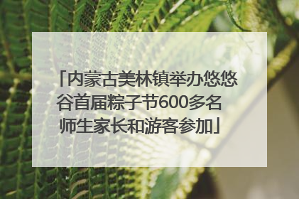内蒙古美林镇举办悠悠谷首届粽子节600多名师生家长和游客参加