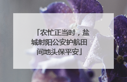 农忙正当时，盐城射阳公安护航田间地头保平安
