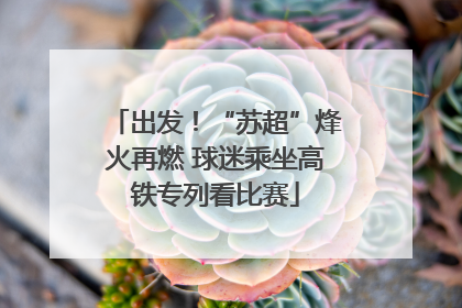出发！“苏超”烽火再燃 球迷乘坐高铁专列看比赛
