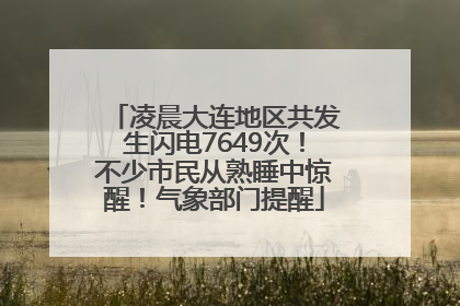 凌晨大连地区共发生闪电7649次！不少市民从熟睡中惊醒！气象部门提醒