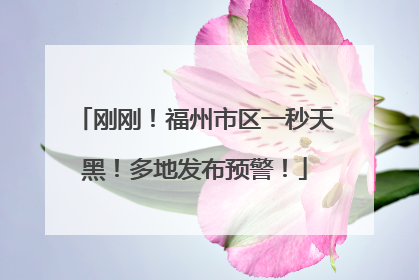刚刚！福州市区一秒天黑！多地发布预警！