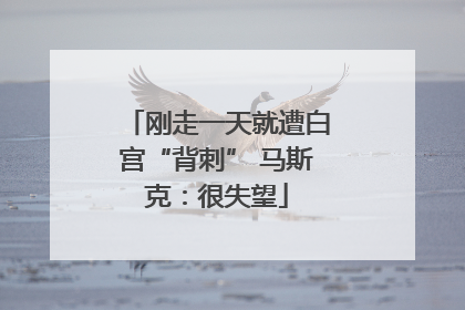 刚走一天就遭白宫“背刺” 马斯克：很失望