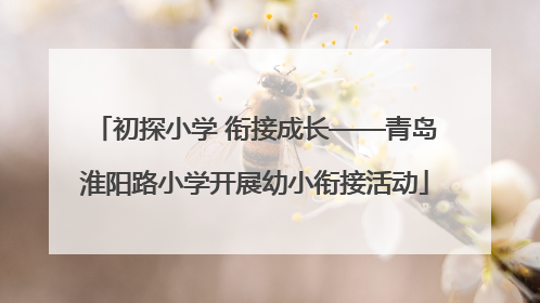 初探小学 衔接成长——青岛淮阳路小学开展幼小衔接活动
