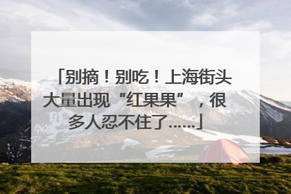 别摘！别吃！上海街头大量出现“红果果”，很多人忍不住了……