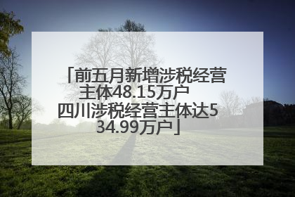 前五月新增涉税经营主体48.15万户 四川涉税经营主体达534.99万户