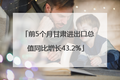 前5个月甘肃进出口总值同比增长43.2%