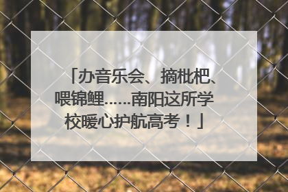 办音乐会、摘枇杷、喂锦鲤……南阳这所学校暖心护航高考！