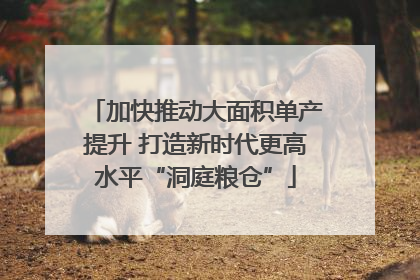 加快推动大面积单产提升 打造新时代更高水平“洞庭粮仓”