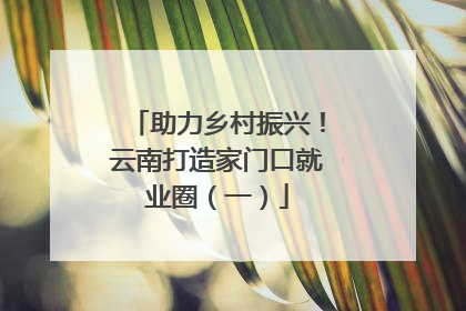 助力乡村振兴！云南打造家门口就业圈（一）