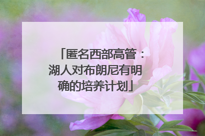 匿名西部高管：湖人对布朗尼有明确的培养计划