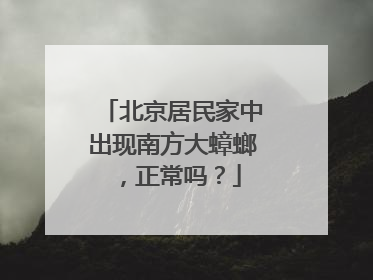 北京居民家中出现南方大蟑螂，正常吗？