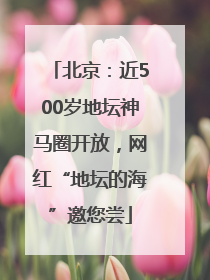 北京：近500岁地坛神马圈开放，网红“地坛的海”邀您尝