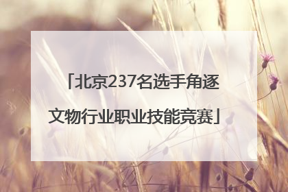 北京237名选手角逐文物行业职业技能竞赛