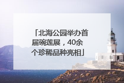 北海公园举办首届碗莲展，40余个珍稀品种亮相