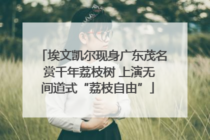 埃文凯尔现身广东茂名 赏千年荔枝树 上演无间道式“荔枝自由”