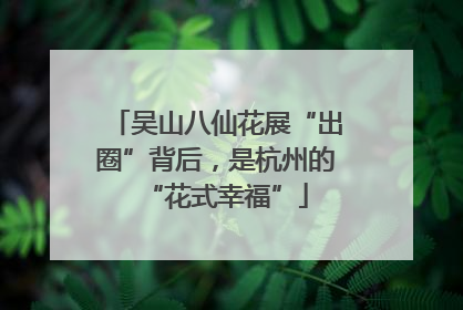 吴山八仙花展“出圈”背后，是杭州的“花式幸福”