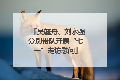 吴毓舟、刘永强分别带队开展“七一”走访慰问