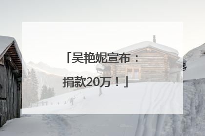 吴艳妮宣布：捐款20万！