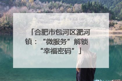 合肥市包河区淝河镇：“微服务”解锁“幸福密码”