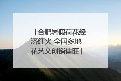 合肥暑假荷花经济红火 全国多地花艺文创销售旺