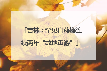 吉林：罕见白鸬鹚连续两年“故地重游”