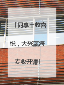 同享丰收喜悦，大兴瀛海麦收开镰