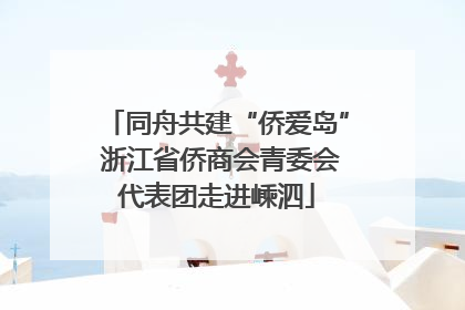 同舟共建“侨爱岛” 浙江省侨商会青委会代表团走进嵊泗