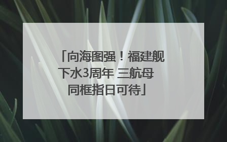 向海图强！福建舰下水3周年 三航母同框指日可待