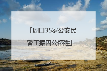 周口35岁公安民警王振因公牺牲