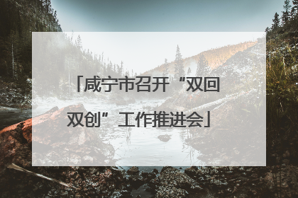 咸宁市召开“双回双创”工作推进会