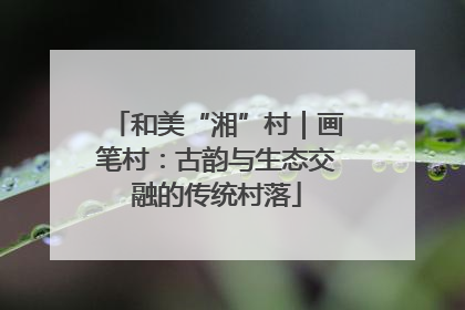 和美“湘”村｜画笔村：古韵与生态交融的传统村落