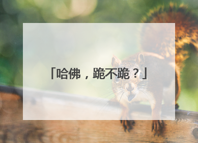 哈佛，跪不跪？